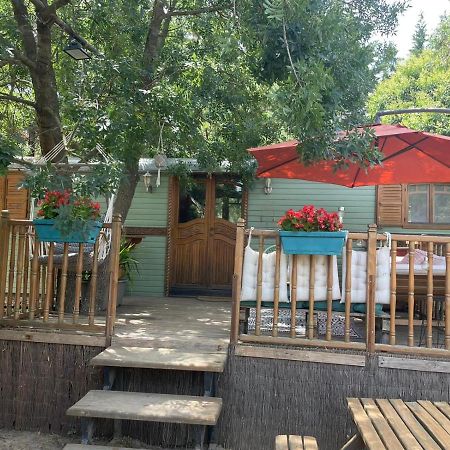 Le Soler Roulotte En Bois Sud Franceゲストハウス エクステリア 写真