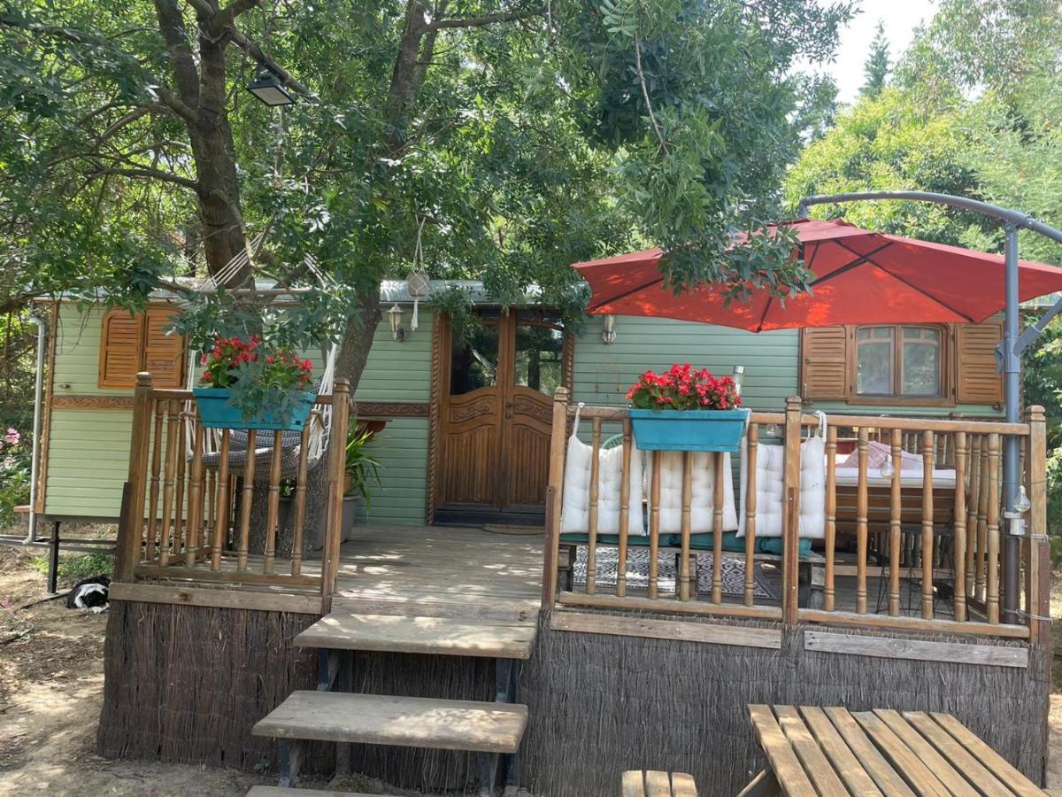 Le Soler Roulotte En Bois Sud Franceゲストハウス エクステリア 写真
