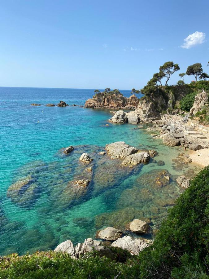 Le Soler Roulotte En Bois Sud Franceゲストハウス エクステリア 写真