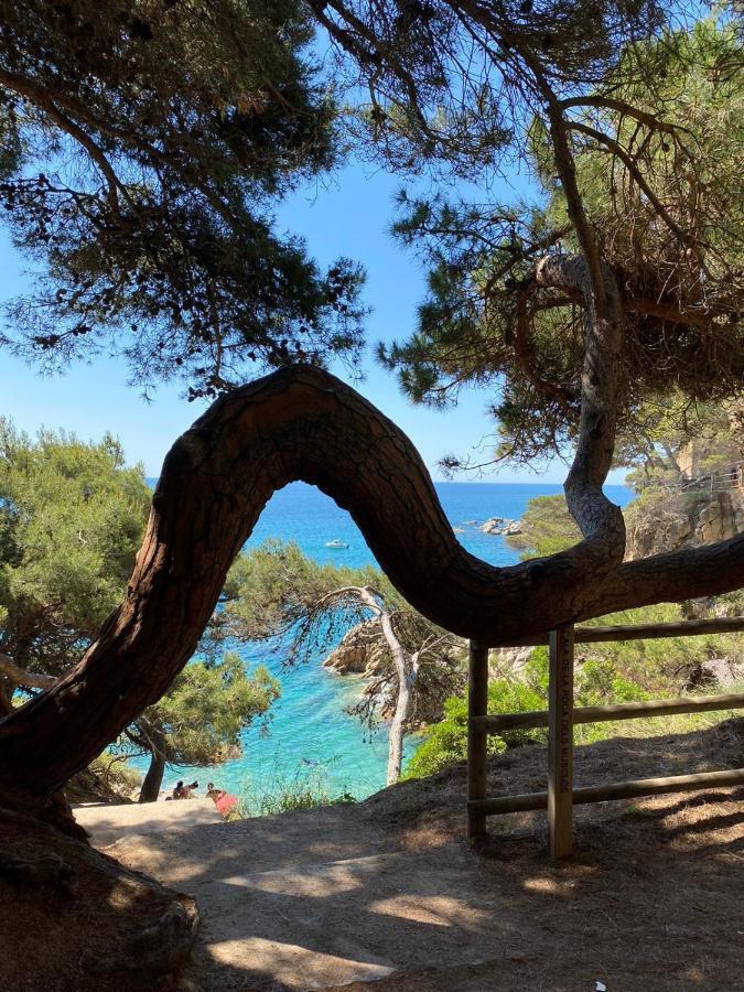 Le Soler Roulotte En Bois Sud Franceゲストハウス エクステリア 写真